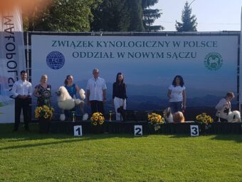 XXXI Krajowa Wystawa Psów Rasowych w Gorlicach