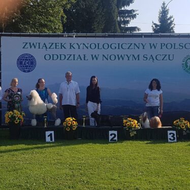 XXXI Krajowa Wystawa Psów Rasowych w Gorlicach